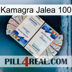 Kamagra Jelly 100 kamagra1